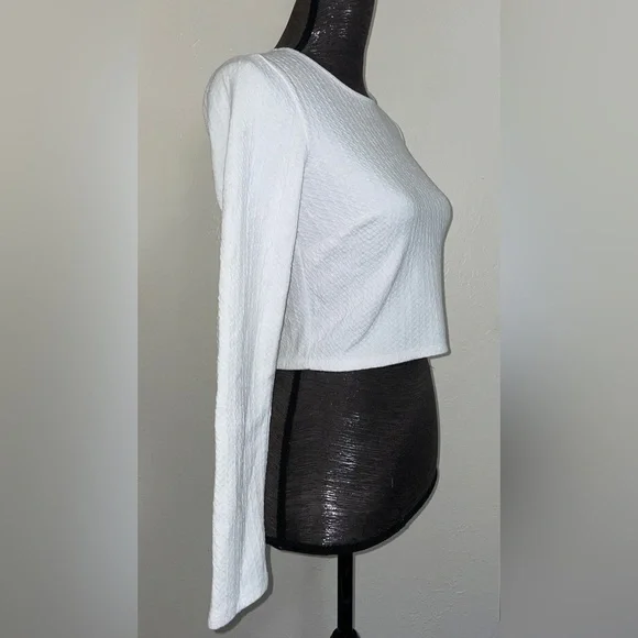 Long Sleeve Crop Top - Picture 12 of 14